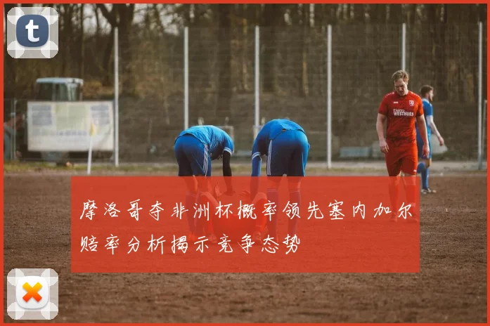 摩洛哥夺非洲杯概率领先塞内加尔赔率分析揭示竞争态势