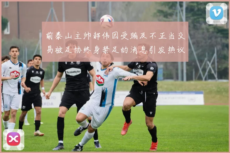 前泰山主帅郝伟因受贿及不正当交易被足协终身禁足的消息引发热议